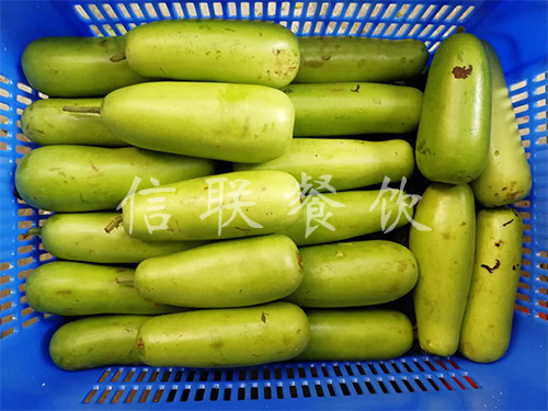 蒲瓜