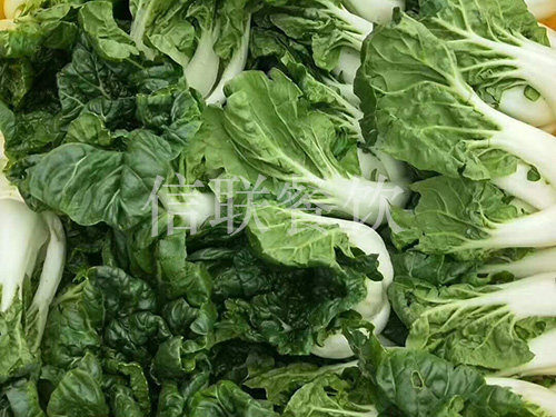 奶白菜