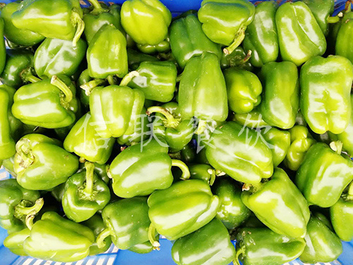 菜椒